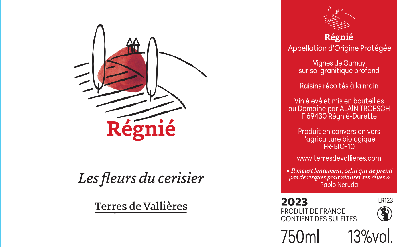 Les fleurs du cerisier